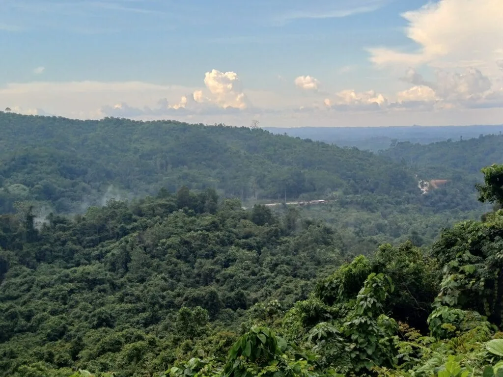 YKAN Kaltim, Hutan Borneo, Asal Usul dan Maknanya