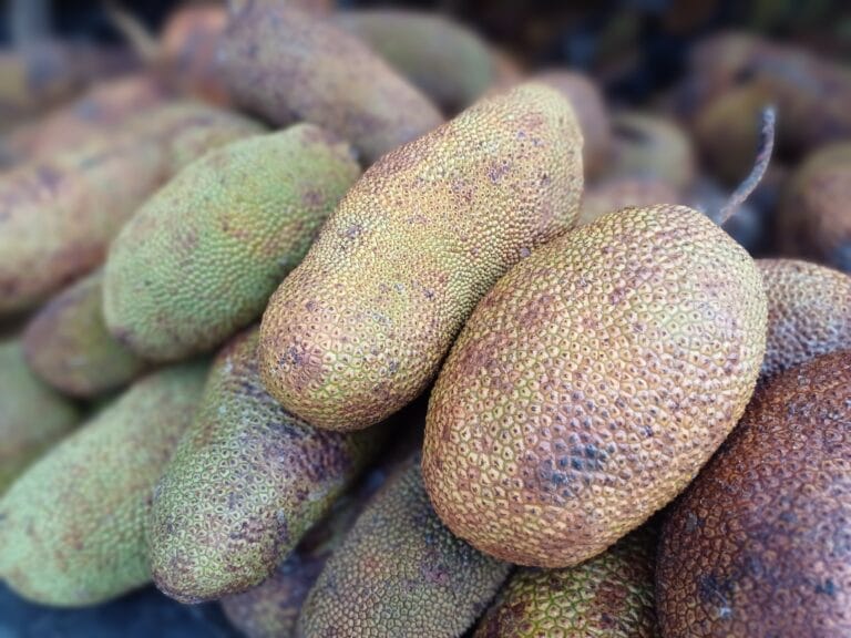 Cempedak adalah buah yang banyak dimanfaatkan di Kalimantan. Mirip nangka.