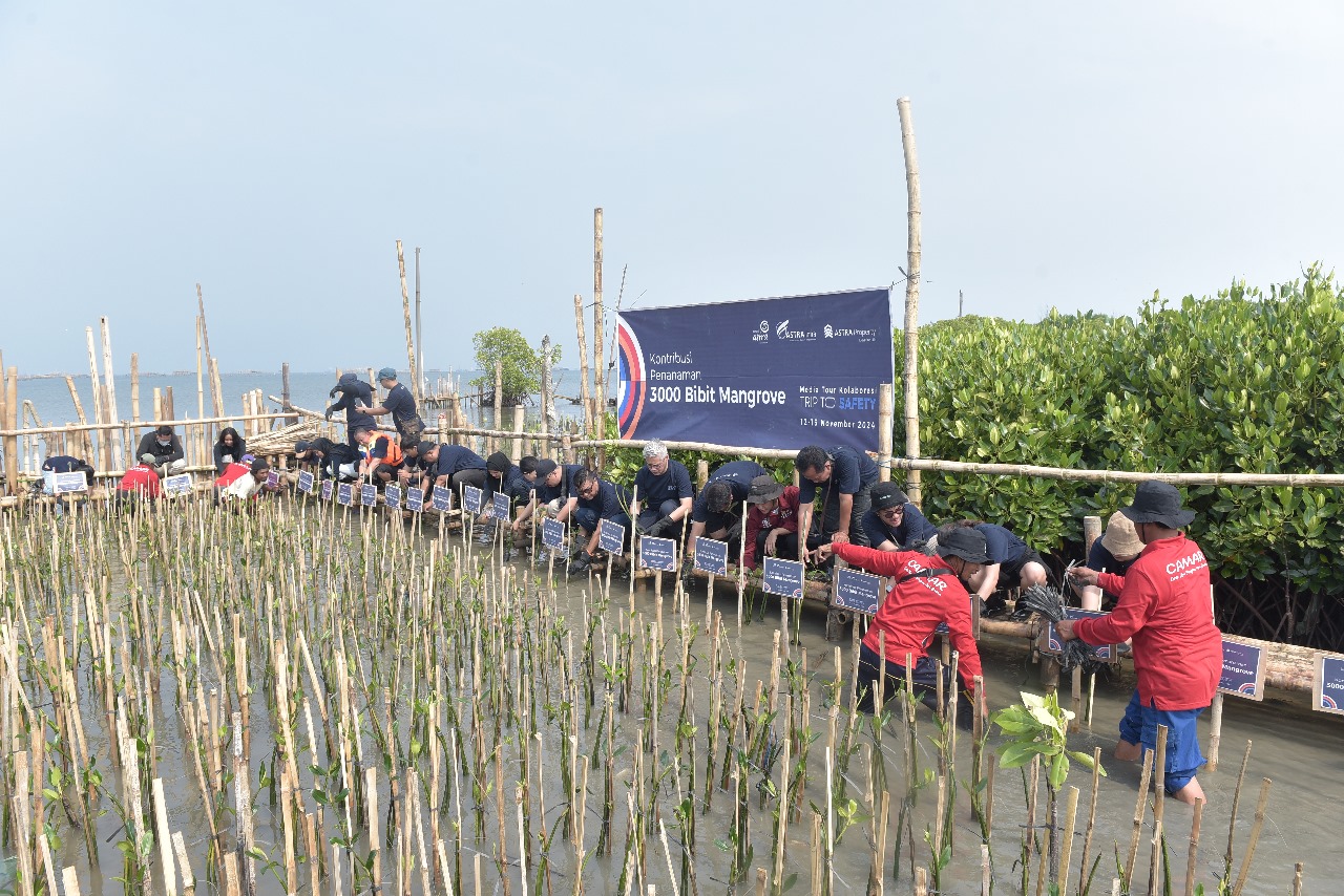 Sebanyak 3.000 bibit mangrove ditanam di Kawasan Mangrove Camar Tambakrejo, Semarang, sebagai upaya mengimbangi emisi karbon yang dikeluarkan selama program 'Trip to Safety'