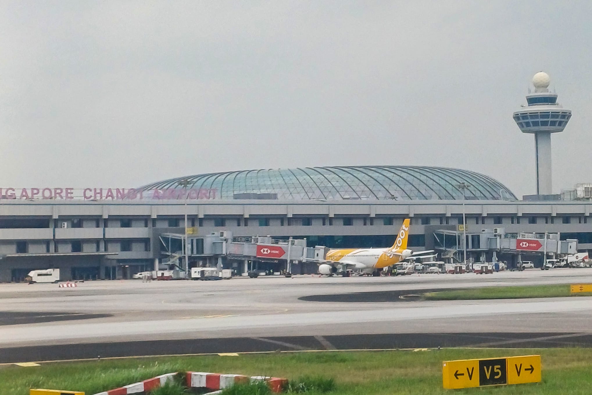 Panduan Saat Pertama Kali Tiba di Bandara Changi Singapura