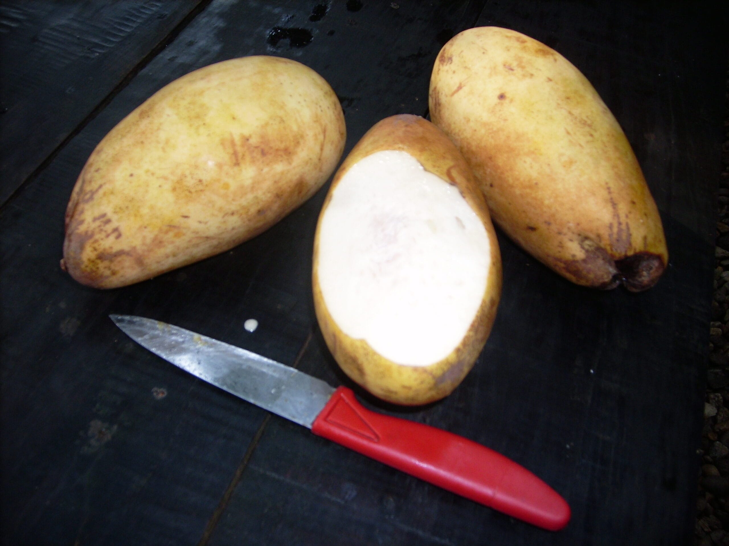 Buah wanyi atau binjai atau wani atau Mangifera caesia Jack. (Foto: hasanzainuddin.wordpress.com)