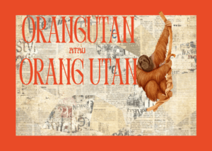 penulisan orangutan atau orang utan