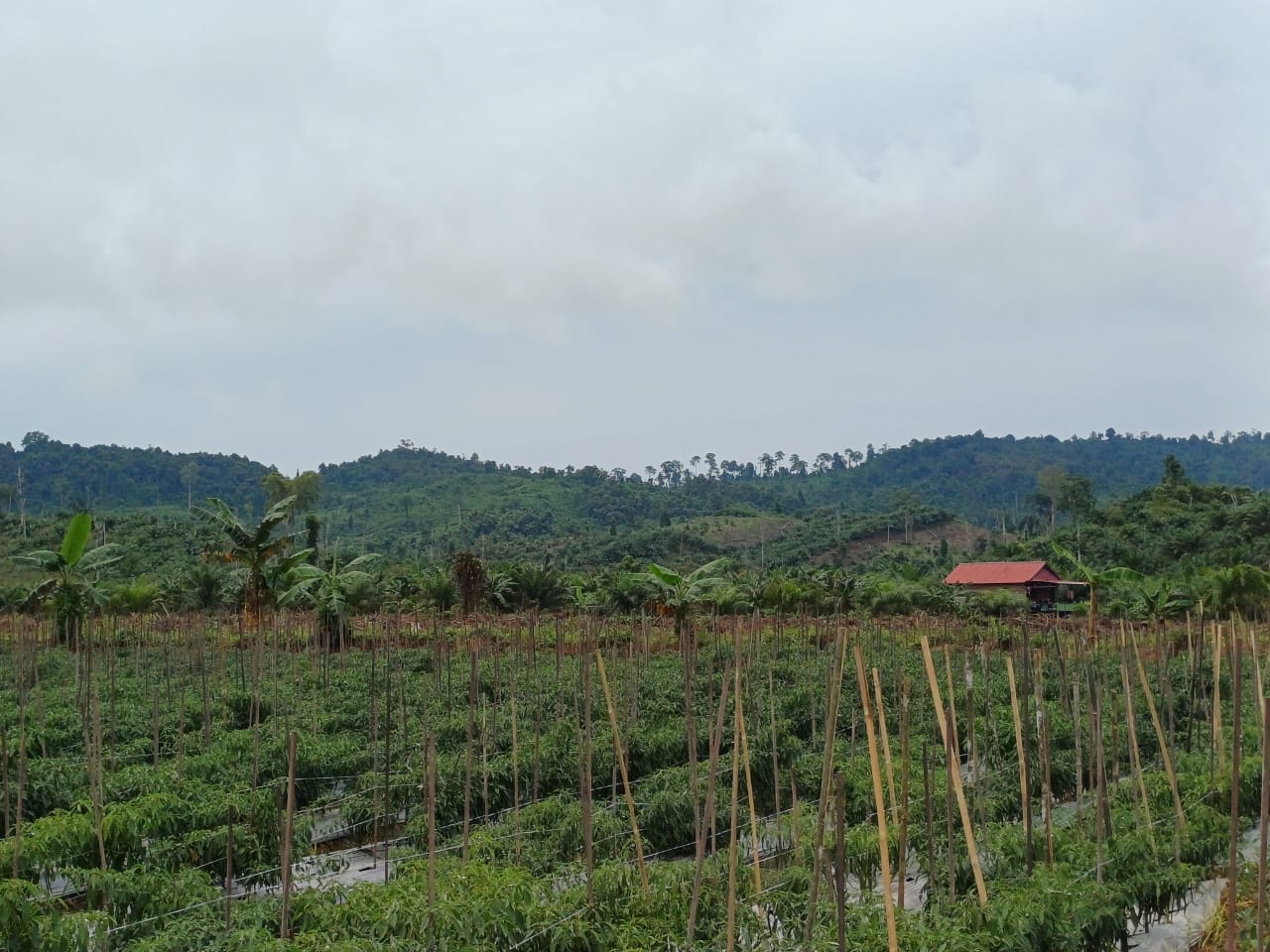 Indonesia Menjadi Tuan Rumah Forum Agraria se-Asia