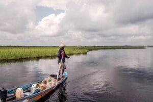 Ekosistem Gambut dan Mangrove Kunci Pemenuhan Target Pengurangan Emisi di Asia Tenggara