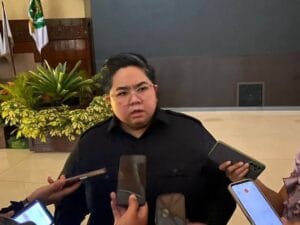 Wakil ketua DPRD Kaltim, Ananda Emira Moeis. (Foto: ProPublika.id)