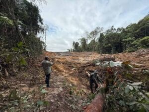 Kondisi KHDTK Universitas Mulawarman yang Terjarah Tambang Ilegal