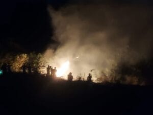 Karhutla yang terjadi di Kabupaten Padang Lawas Utara, Provinsi Sumatra Utara, Minggu (11/5/2025). (Foto : BPBD Kabupaten Padang Lawas Utara)