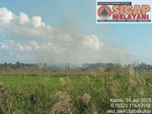 Kondisi lahan yang mulai padam di Kabupaten Kutai Kartanegara, Kalimantan Timur pada Kamis (24/7/2025). (Sumber foto: BPBD Kabupaten Kutai Kartanegara)