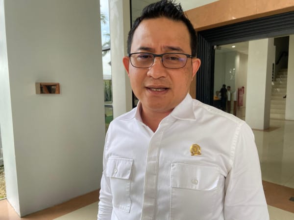 Wakil Ketua Komisi II DPRD Kaltim, Sapto Setyo Pramono. (Propublika.id)