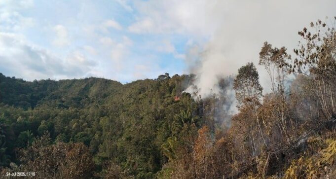 Kebakaran hutan dan lahan (karhutla) yang terjadi di Kabupaten Nunukan, Kalimantan Utara, Kamis (24/7/2025). (Sumber foto ; BPBD Kabupaten Nunukan)