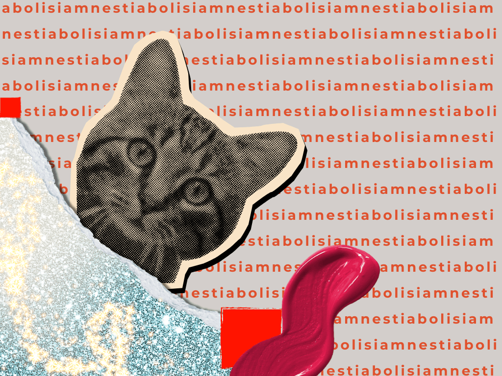 Menimbang Abolisi dan Amnesti, Solusi [Politik] ala Prabowo - Hidayatullah Rabbani