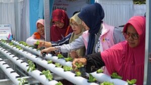 Srikandi PLN UID Kaltimra meluncurkan program Kebun Gizi di Samarinda pada 26 September 2025. (Foto: PLN UID Kaltimra)
