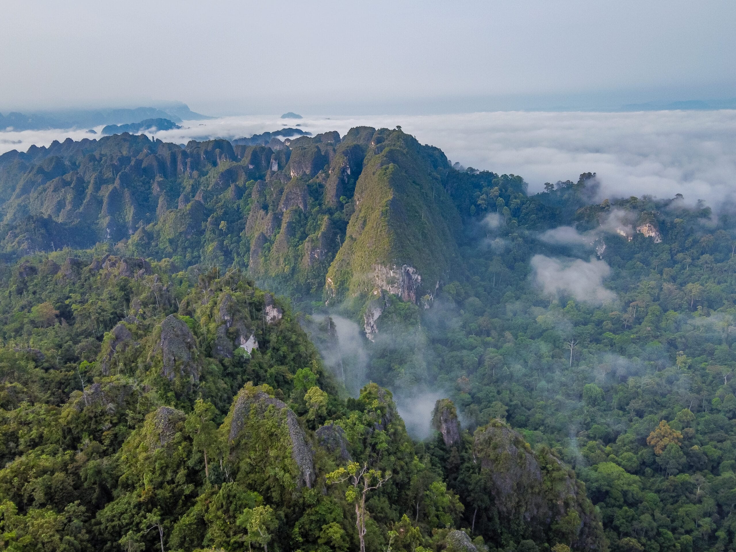Panorama hutan tropis di kawasan ekosistem karst Sangkulirang Mangkalihat berupa bukit kerucut di Kampung Merabu, Kabupaten Berau, Kalimantan Timur. (Foto oleh Deta Widyananda-TelusuRI).