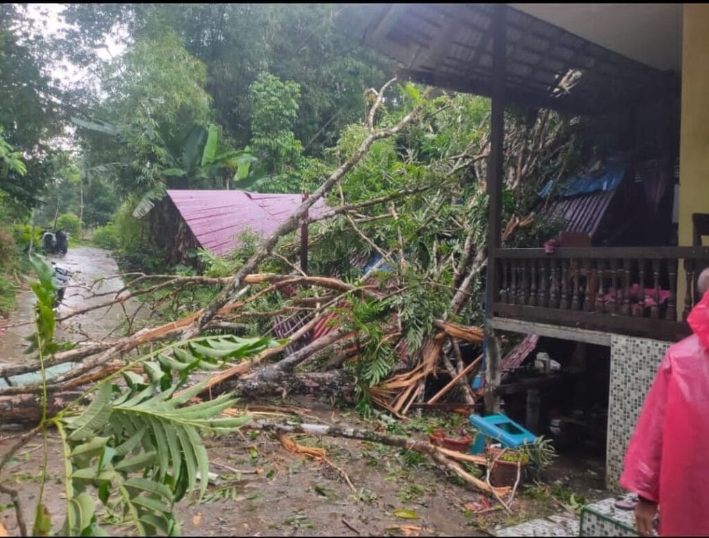 Wilayah terdampak angin puting beliung di Kabupaten Melawi, Provinsi Kalimantan Barat, Minggu (9/11/2025). (Sumber: BPBD Kabupaten Melawi)