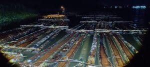 Aparat Gakkum Kehutanan Wilayah Kalimantan mengamankan barang bukti sekitar 600 batang kayu bulat ilegal yang dirakit di perairan Sungai Pawan, Ketapang, Kalbar Sabtu (17/1/2026). Temuan ini berkembang pada penemuan 1.500 batang kayu tambahan di kawasan hutan produksi Desa Ulak Medang yang siap didistribusikan.