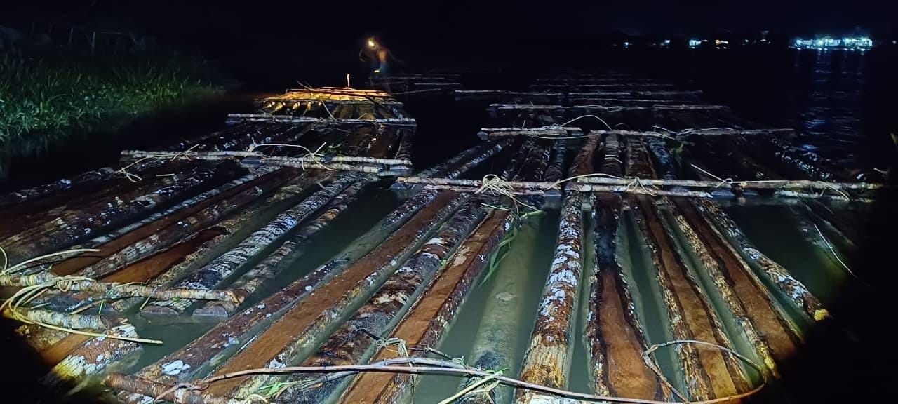Aparat Gakkum Kehutanan Wilayah Kalimantan mengamankan barang bukti sekitar 600 batang kayu bulat ilegal yang dirakit di perairan Sungai Pawan, Ketapang, Kalbar Sabtu (17/1/2026). Temuan ini berkembang pada penemuan 1.500 batang kayu tambahan di kawasan hutan produksi Desa Ulak Medang yang siap didistribusikan.