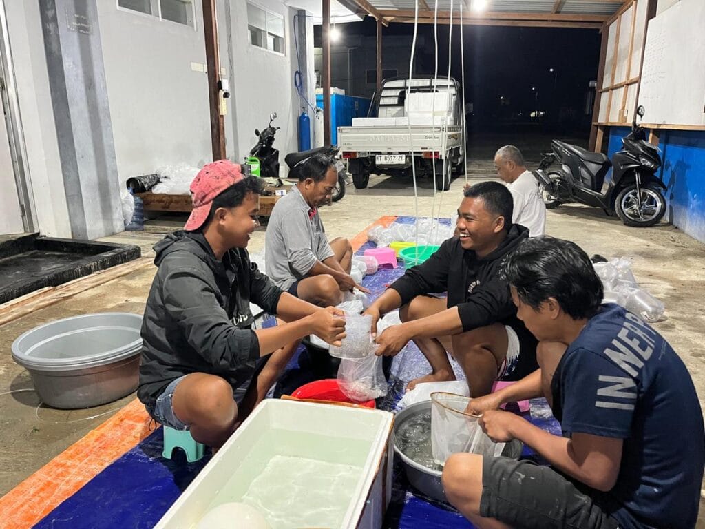 Proses pembenihan melibatkan siswa-siswi sebagai sarana praktik agar memiliki keterampilan yang relevan dengan kebutuhan industri. (Foto: ©SMKN 3 Tanjung Batu)